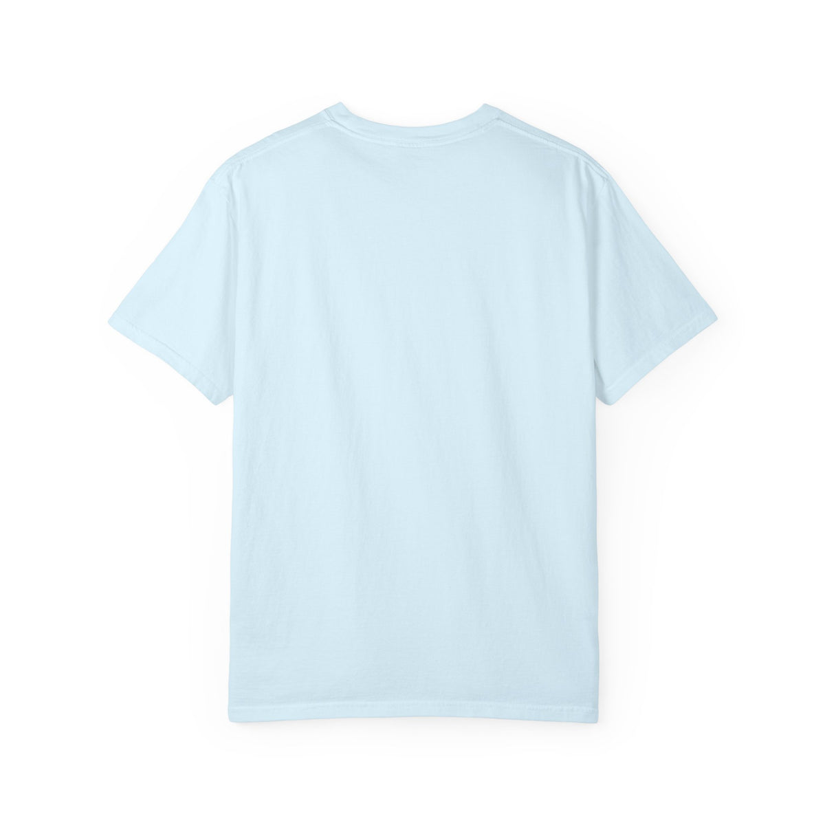 Chaos Coordinator  T-Shirt